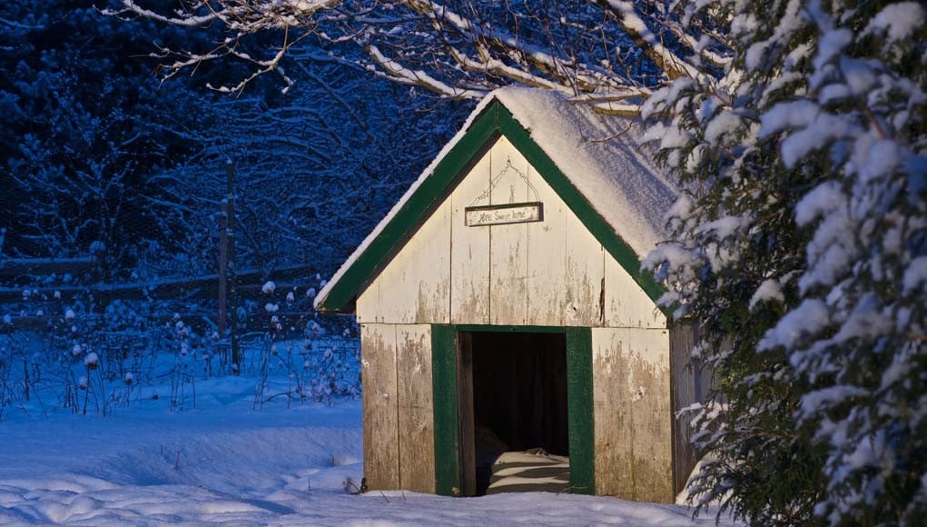 DIY Cold Weather Dog House