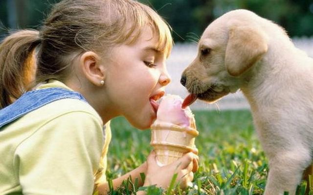 Does Growing Up With a Dog Reduce A Child's Risk of Developing Asthma