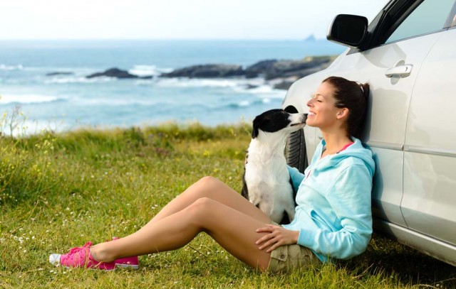 Dog Travel Tips - How to Vacay With Your Pet