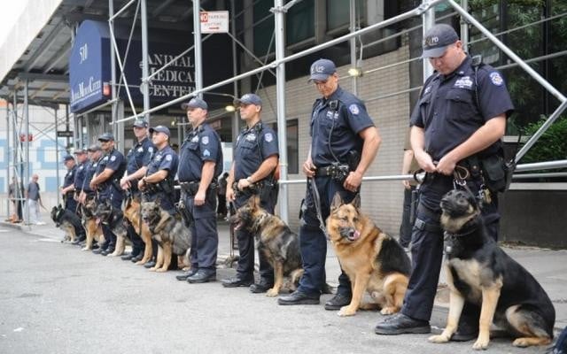 Indiana Shelter Dog Becomes Iowa Police K-9