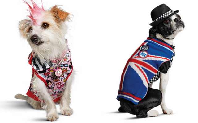 Interested in Dressing Your Dog Like a Harajuku Lover