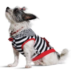 Interested in Dressing Your Dog Like a Harajuku Lover