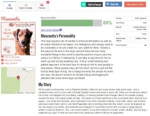 New Website Combines Pet Adoption and Online Dating