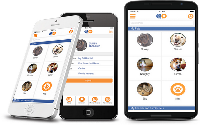 This App Helps Your Pet Speak To His Vet