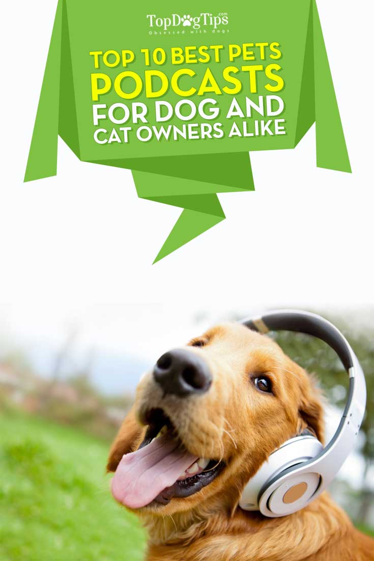 Top Ten Best Dog Podcasts for Pet Owners