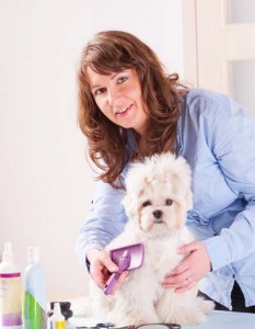 pro dog groomer brushing a dog