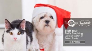 Amazon Best Deals on Dog Supplies for Christmas