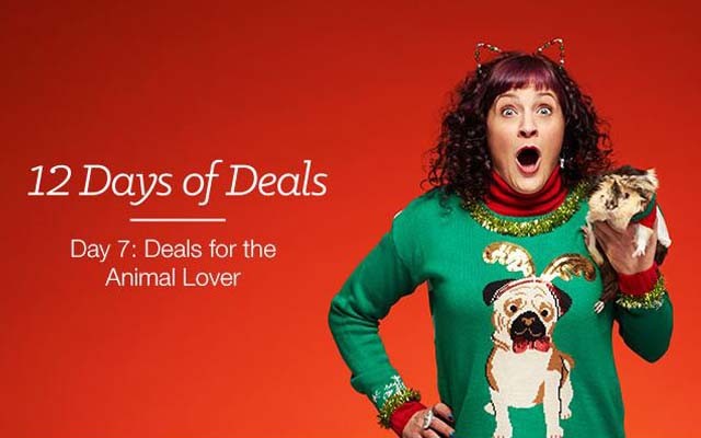 Best Amazon Christmas Deals for Pet Lovers