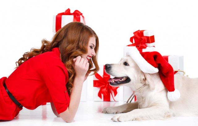 Best Christmas Gifts for Dog Parents