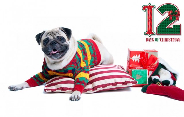 Best Dog Supplies Deals - 12 Days of Deals and Christmas