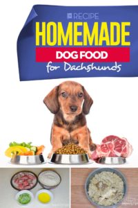 Best Homemade Dog Food for Dachshunds Recipe