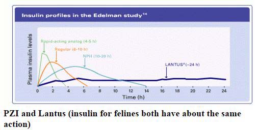 Canine Diabetes Insulin Chart