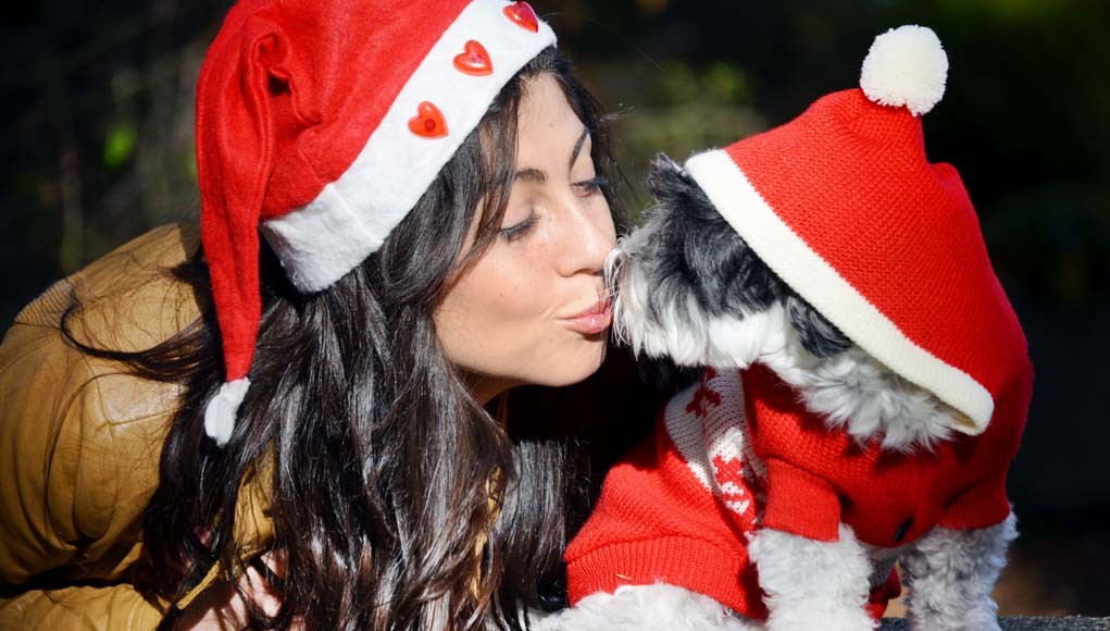 Christmas DIY Gifts for Dog Lovers