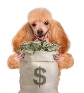 Costs of owning a dog