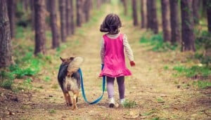 Daily walks with your pet to keep him from running away