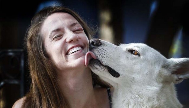 Homeward Bound - Dog Travels for 2 Days to Meet His Owner