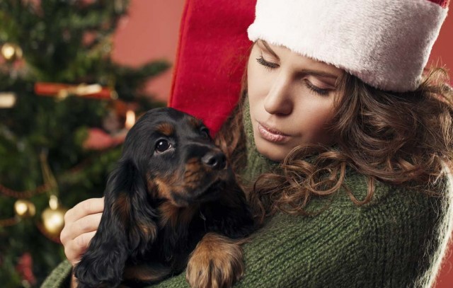 Ideas on How to Spend Christmas with Your Dog