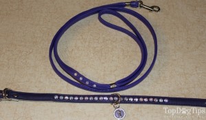 Luxe Pets Dog Leash, Collar and Charm for Dogs Giveaway