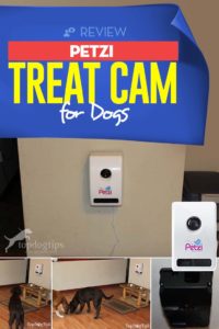 Review of Petzi Treat Cam for Dogs