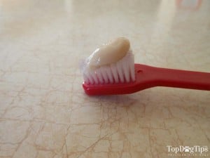 What this toothpaste looks like