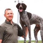 Training Dogs with Electronic Collars