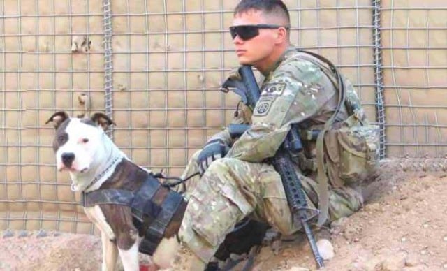 US Soldier Fights for Custody of a Dog Who Saved His Life