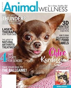 Animal Wellness Magazine