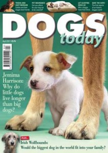 Dogs Today Magazine