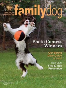 Family Dog Magazine