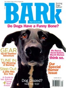 The Bark dog magazine