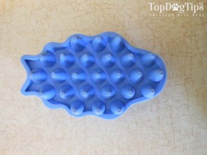 Best Pet Brush for Pets