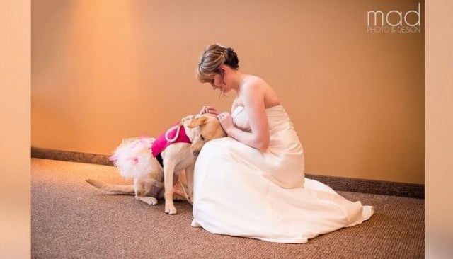 Bride's Wedding Photos Go Viral Thanks to Her Service Dog