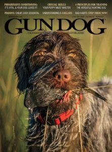 Gun Dog Magazine