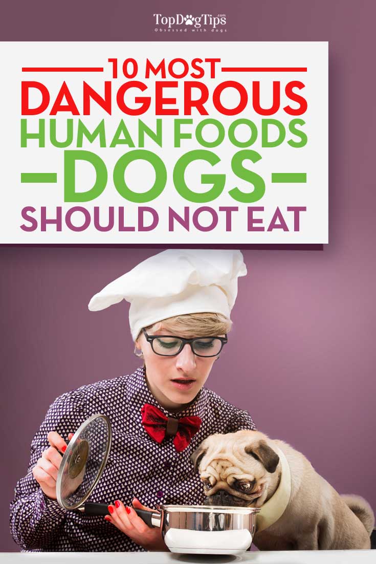 Human Foods That Are Dangerous To Dogs