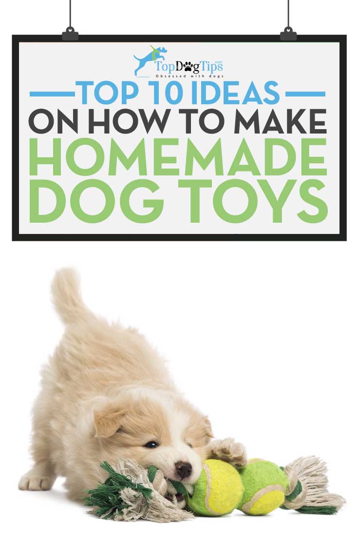 Ideas for Homemade Dog Toys