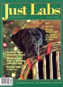 Just Labs Magazine