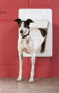 The Convenience of Electronic Doggy door