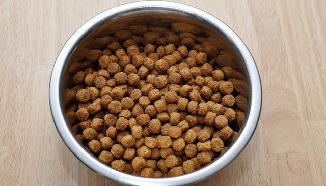 This Product Offers A Whole New Way to Feed Your Dog