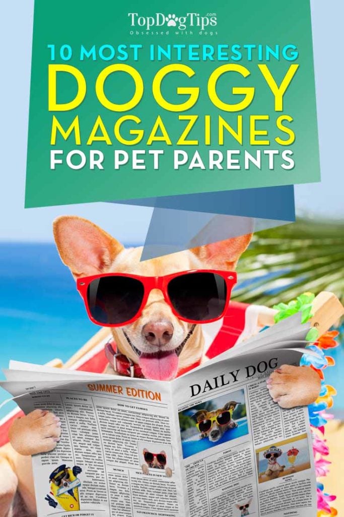 Top 10 Dog Magazines for Pet Owners