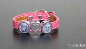 Zelda's Song Custom Pet Themed Photojewelry Review