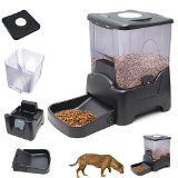 Best Automatic Dog Food Dispenser