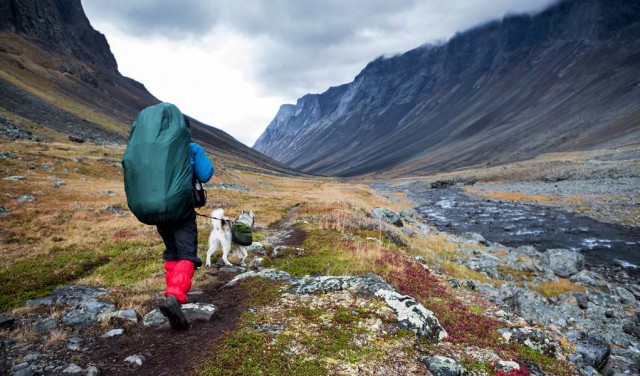 Backpacking with Dogs