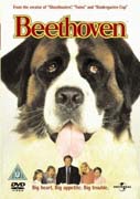 Best Dog Movies Available for Streaming Right Now