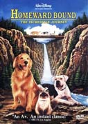 Best Dog Movies Available for Streaming Right Now