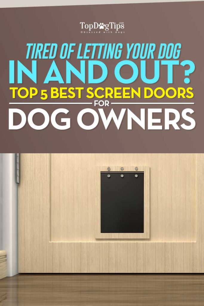 Best Screen Doors with Dog Door to Let Your Dog Out