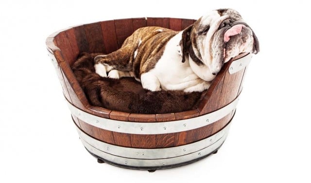 DIY Dog Bed Project - Ideas from Around the Internet