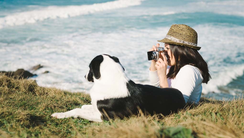 How to Take Great Photos of Your Dog