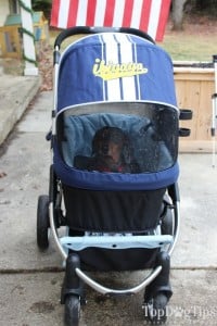 IBIYAYA Pet Stroller for Dogs Review