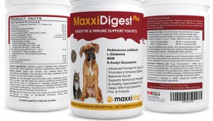 MaxxiDog Supplements for Dogs