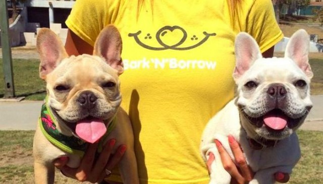 New App Lets Lonely Humans Borrow Dogs Free of Charge